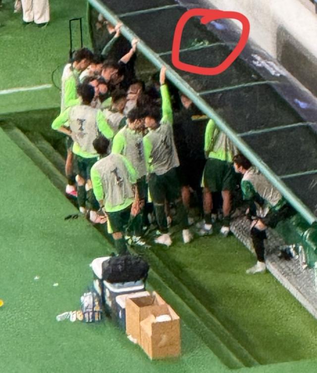 会接受采访, ws, jd